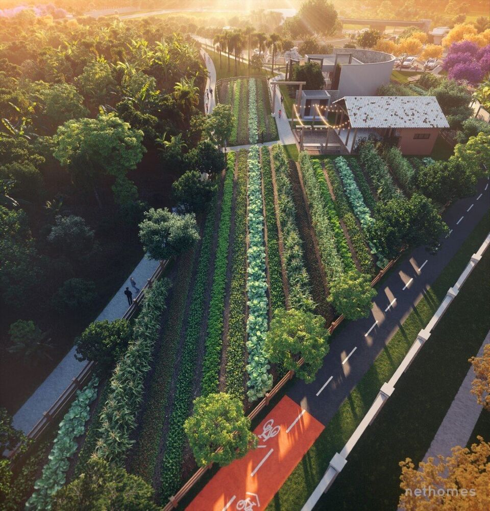 Terreno Lançamentos, 538m² - Foto 8