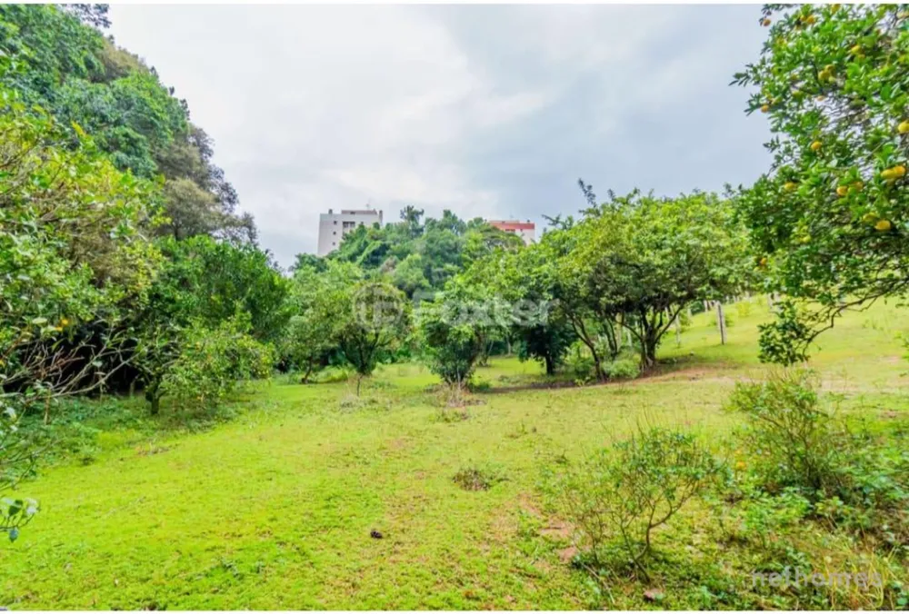 Terreno, 6798 m² - Foto 5