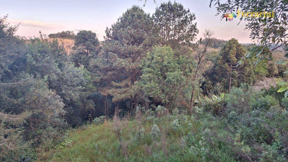 Terreno, 3940 m² - Foto 6