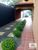 Casa, 5 quartos, 254 m² - Foto 1