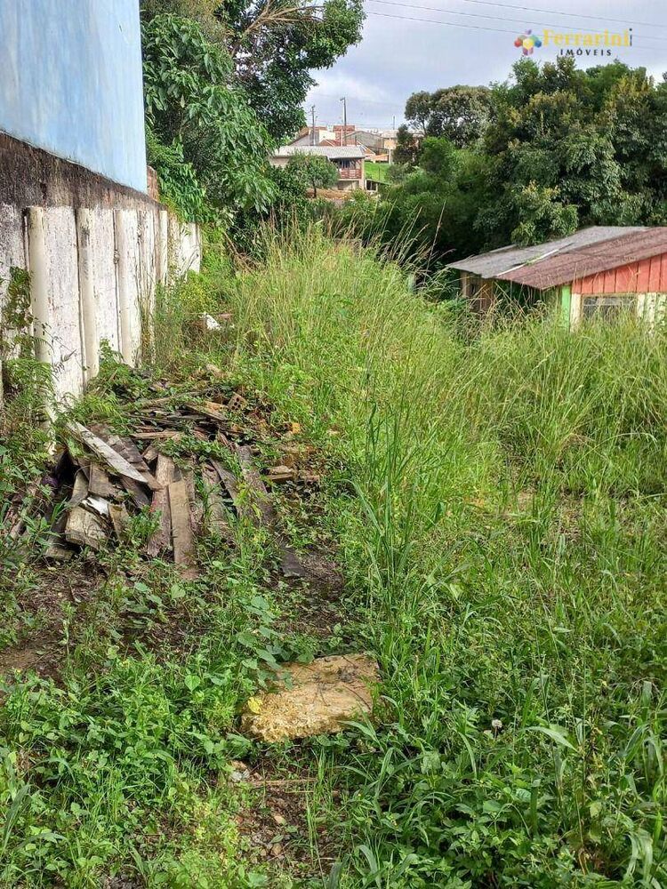 Terreno, 388 m² - Foto 7