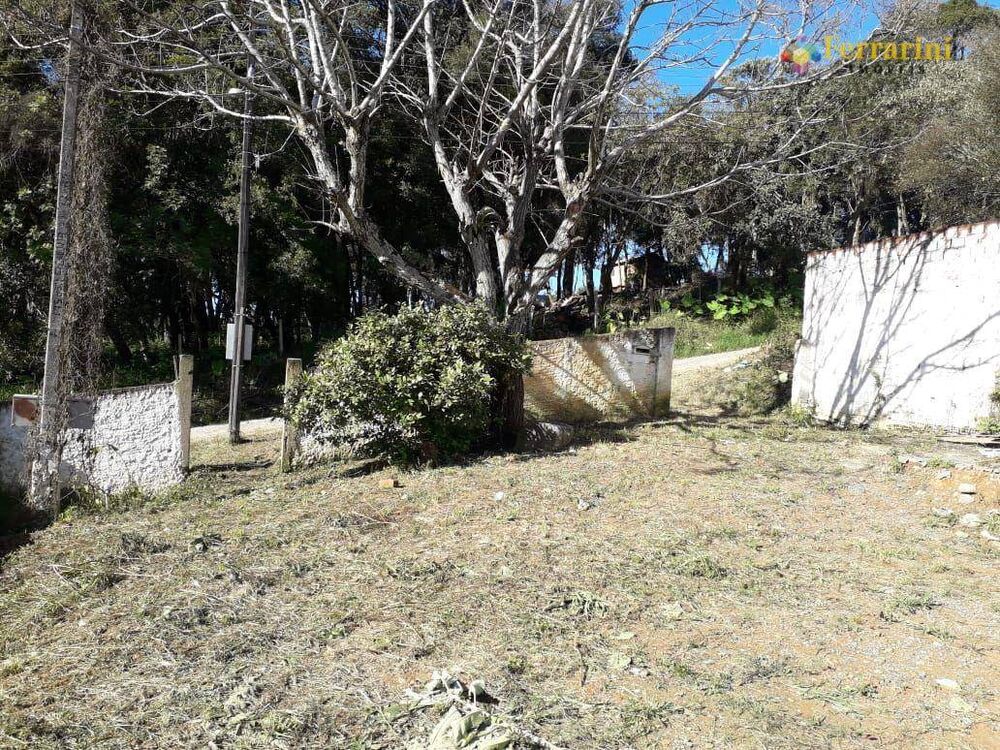 Terreno, 388 m² - Foto 4