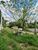 Terreno, 388 m² - Foto 4