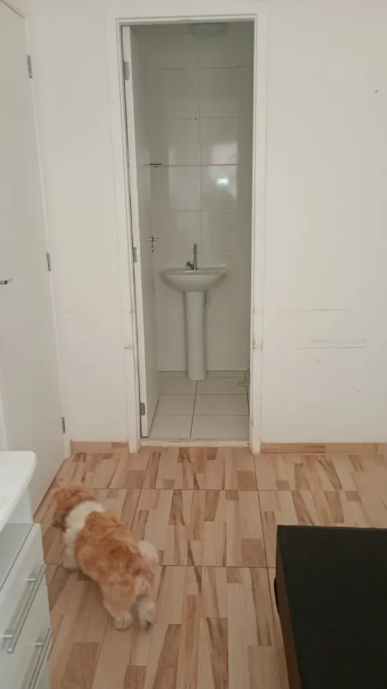 Apartamento, 1 quarto, 26 m² - Foto 7