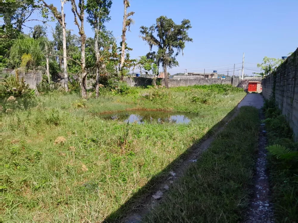 Terreno à venda, 300m² - Foto 2