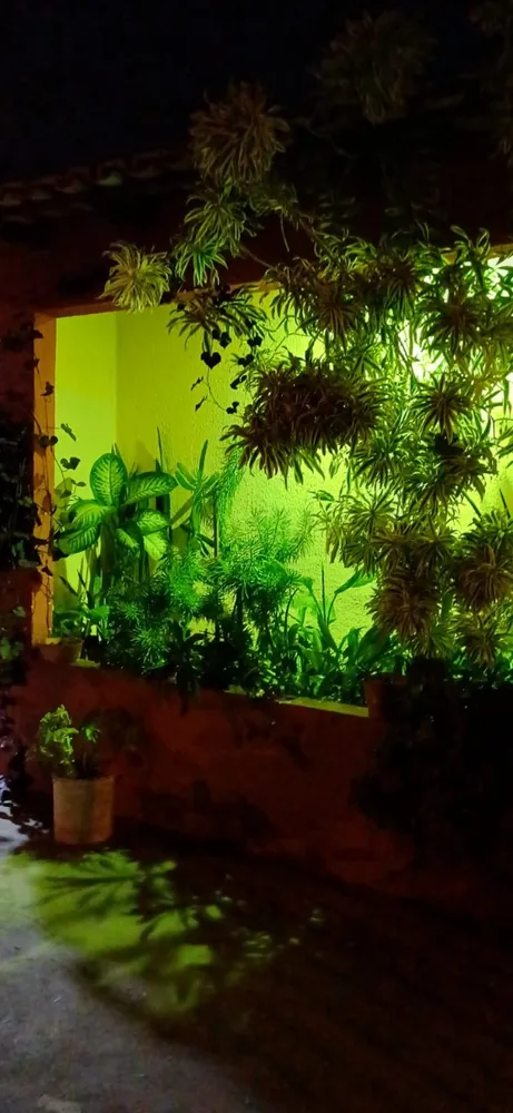 Casa, 4 quartos, 230 m² - Foto 12