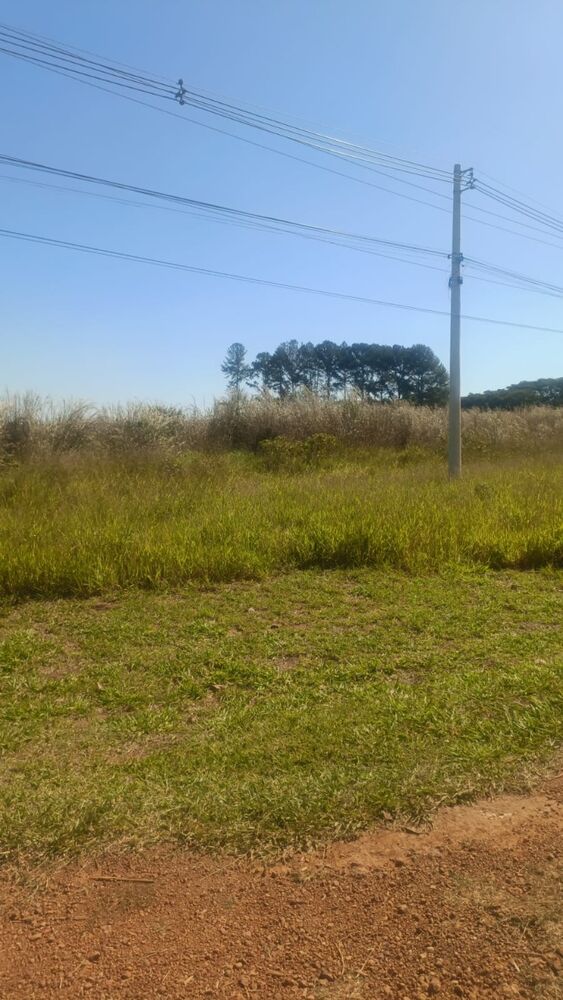 Loteamento e Condomínio à venda, 30000m² - Foto 4