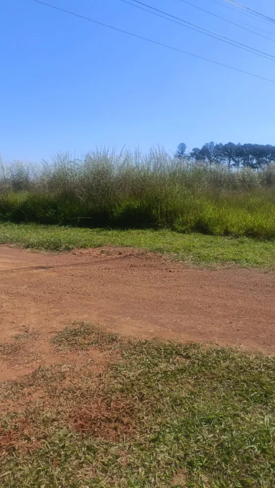 Loteamento e Condomínio, 3 hectares - Foto 7