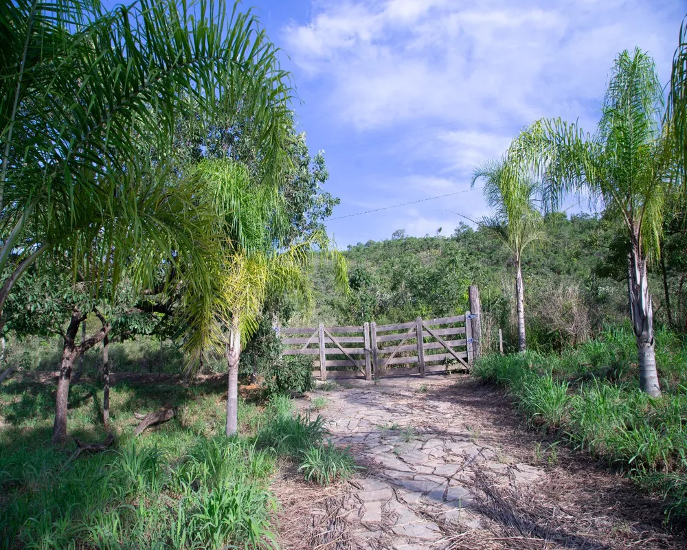 Chácara à venda com 3 quartos, 200m² - Foto 6