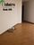 Apartamento, 3 quartos, 95 m² - Foto 4