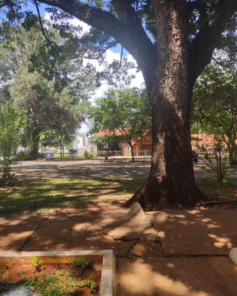 Apartamento, 3 quartos, 65 m² - Foto 4