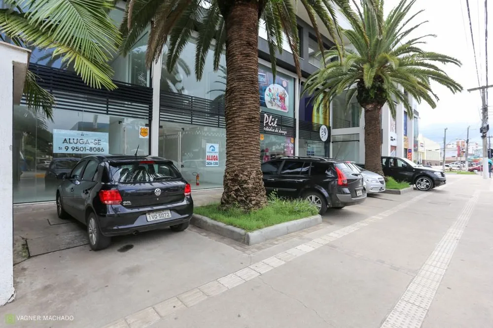Terreno, 79 m² - Foto 3
