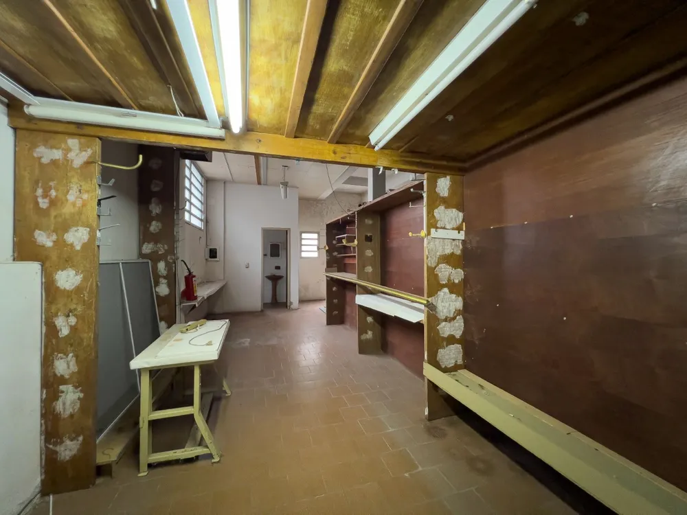 Casa, 4 quartos, 600 m² - Foto 13