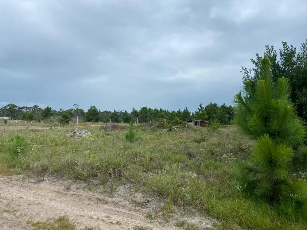 Terreno à venda, 300m² - Foto 3