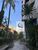 Apartamento, 4 quartos, 220 m² - Foto 3