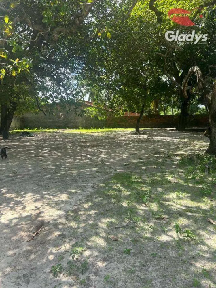 Terreno, 8000 m² - Foto 14