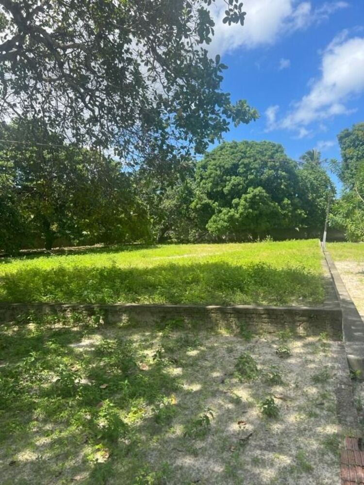 Terreno, 8000 m² - Foto 3