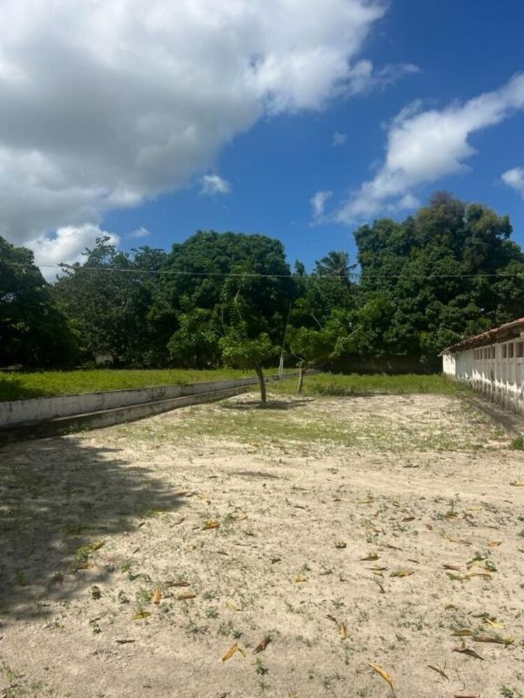 Terreno, 8000 m² - Foto 4