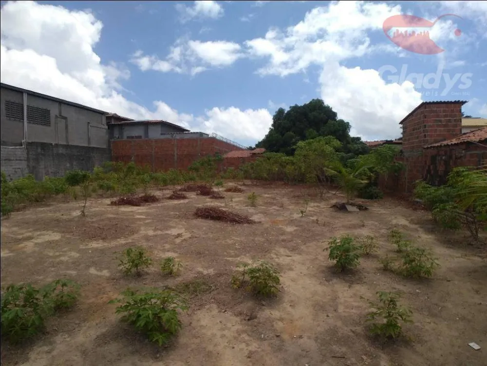 Terreno, 1040 m² - Foto 7