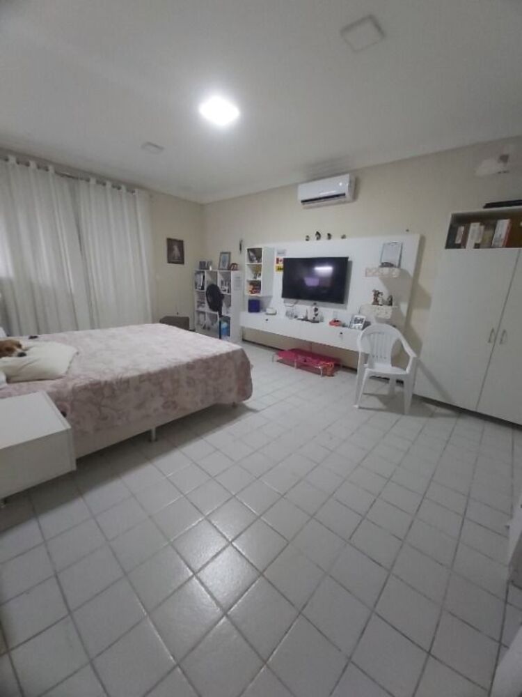 Casa, 6 quartos, 330 m² - Foto 4