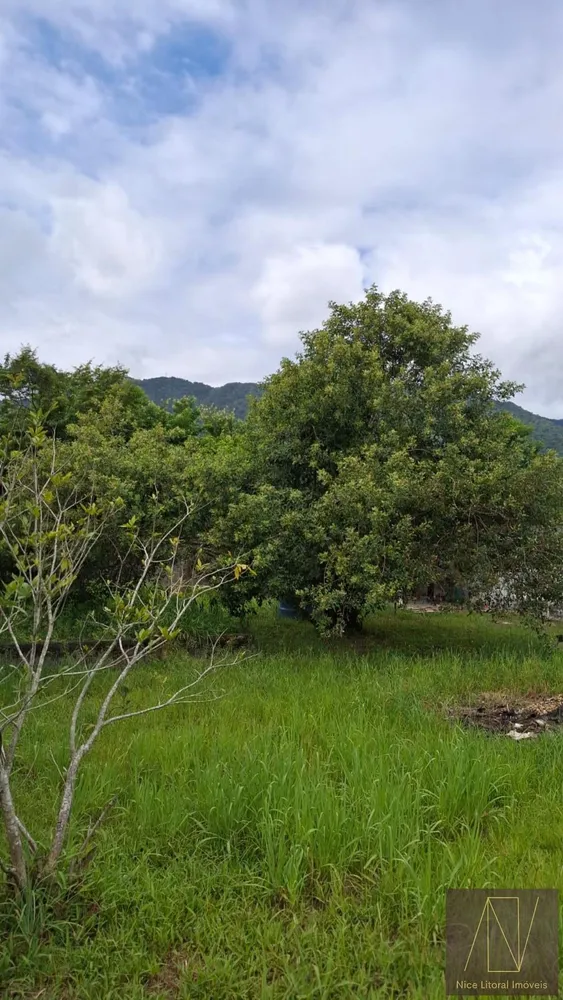 Terreno, 288 m² - Foto 5