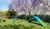 Apartamento, 1 quarto, 41 m² - Foto 6
