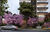 Apartamento, 3 quartos, 109 m² - Foto 2
