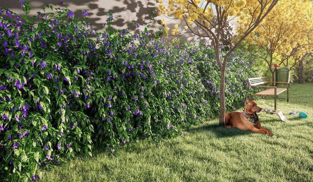 Apartamento, 3 quartos, 87 m² - Foto 6