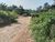 Terreno, 4508 m² - Foto 3