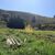 Terreno, 3600 m² - Foto 3