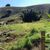 Terreno, 3600 m² - Foto 4