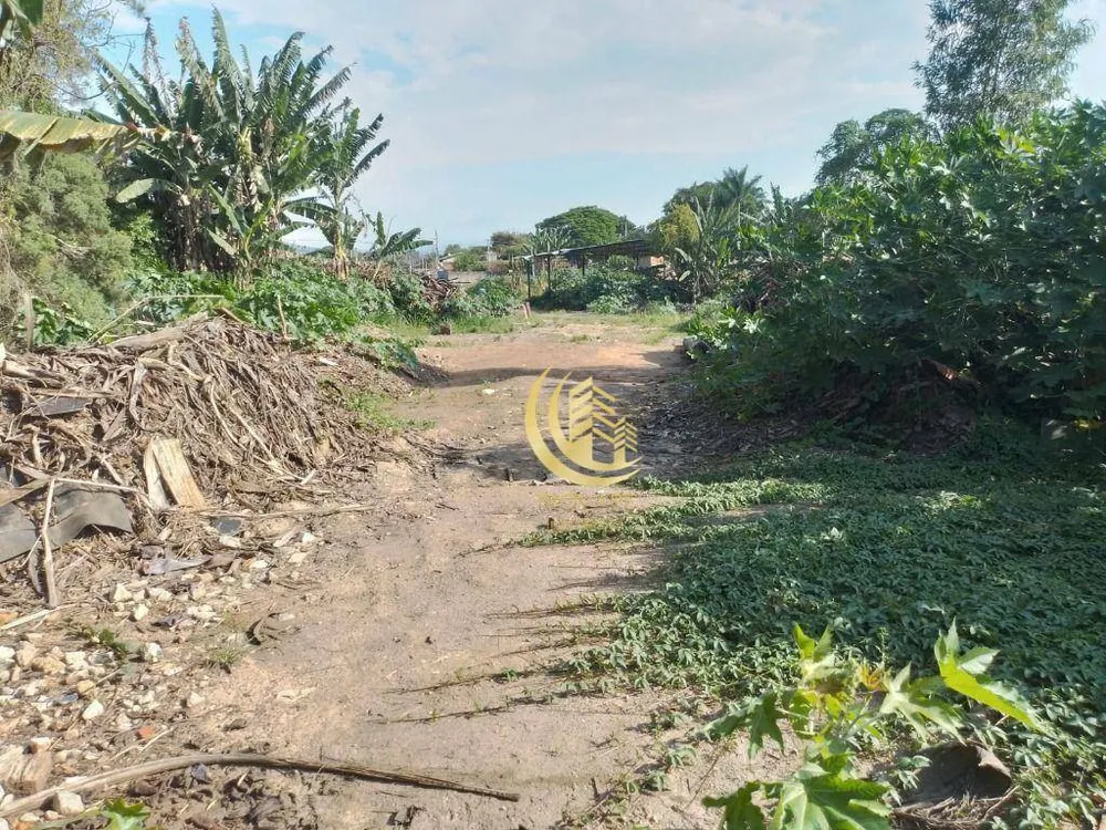 Terreno, 9000 m² - Foto 6