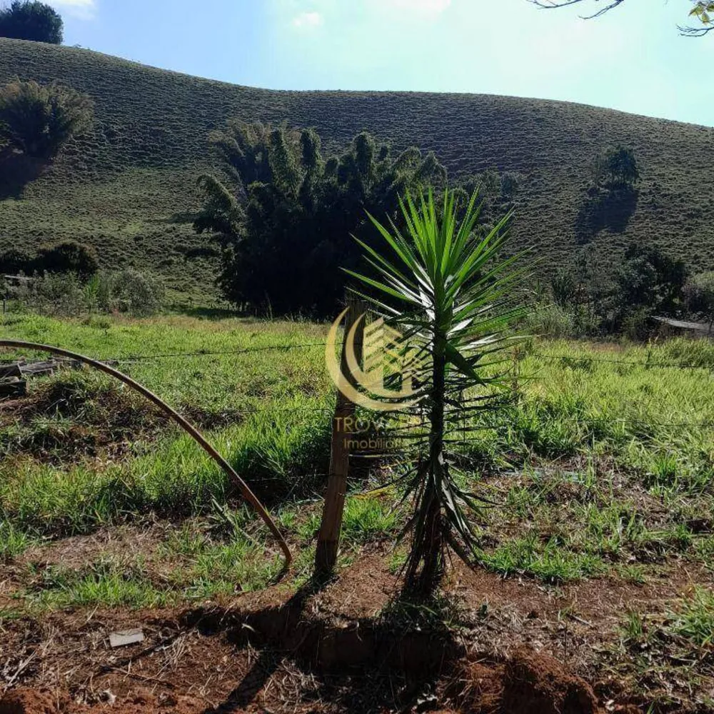 Terreno, 3600 m² - Foto 5