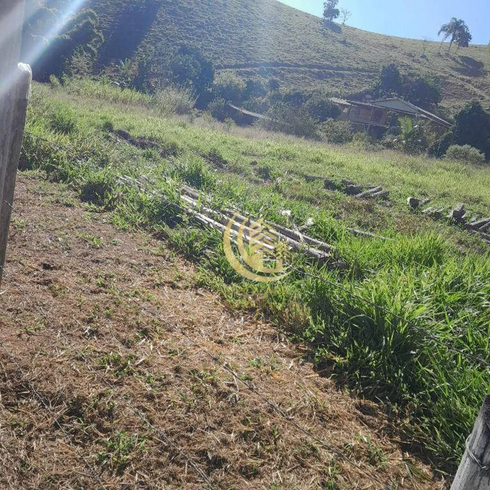 Terreno, 3600 m² - Foto 3