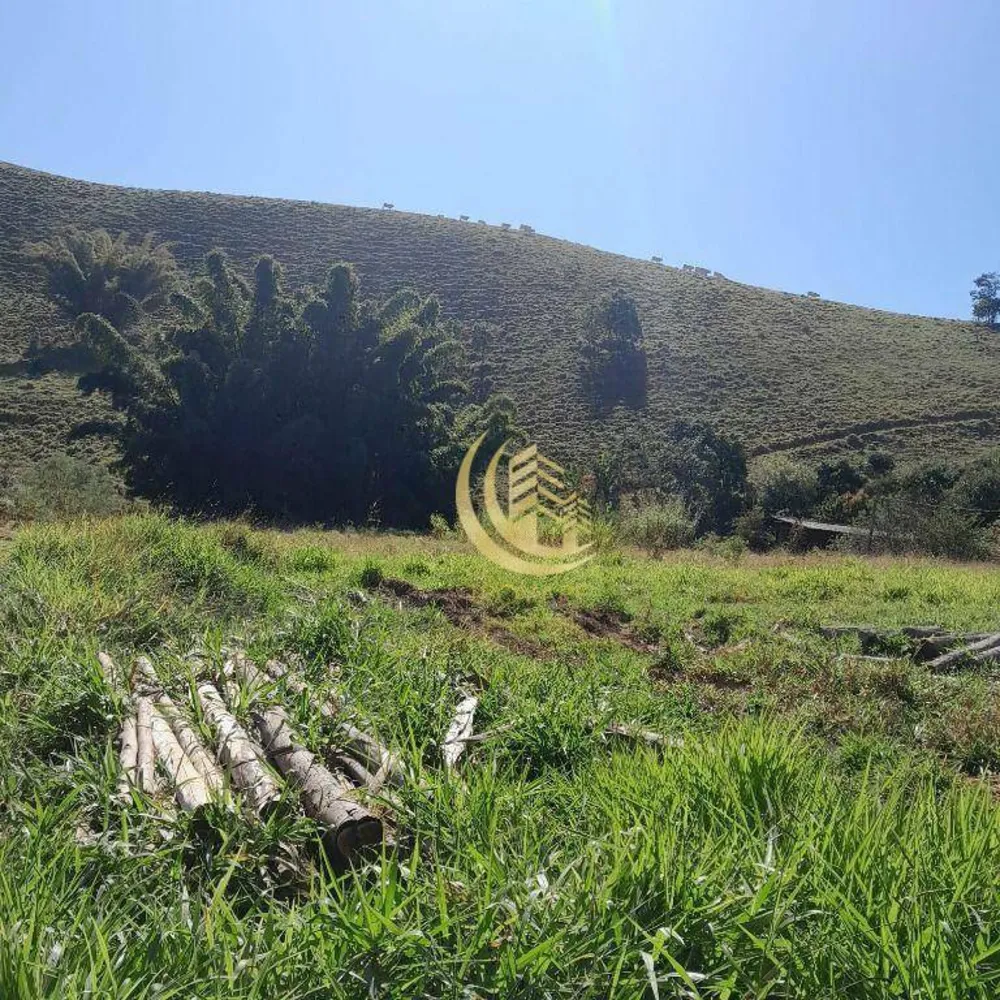 Terreno, 3600 m² - Foto 4