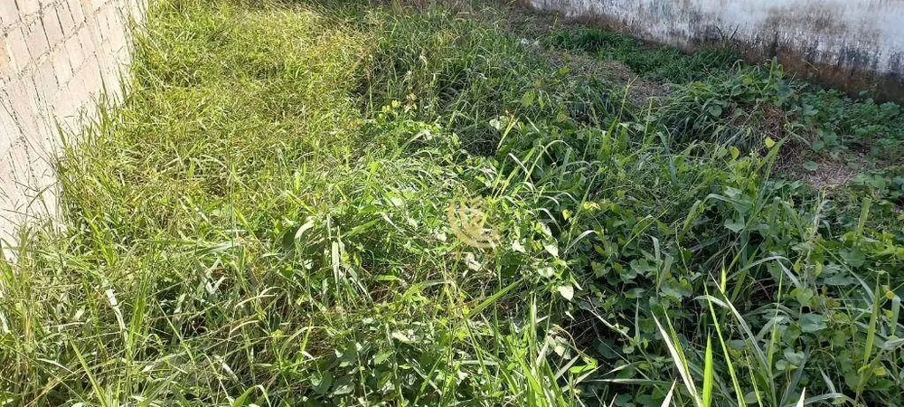 Terreno, 153 m² - Foto 5