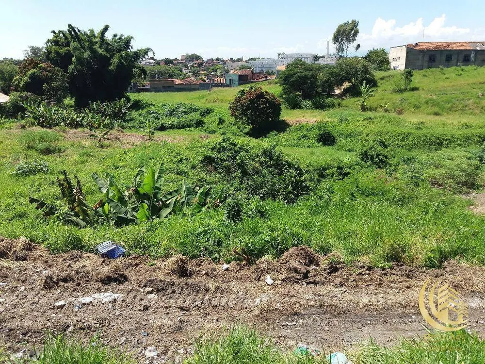 Terreno, 1 hectares - Foto 9