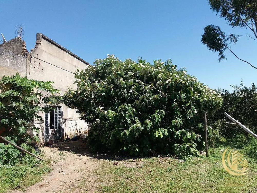 Terreno, 1 hectares - Foto 13