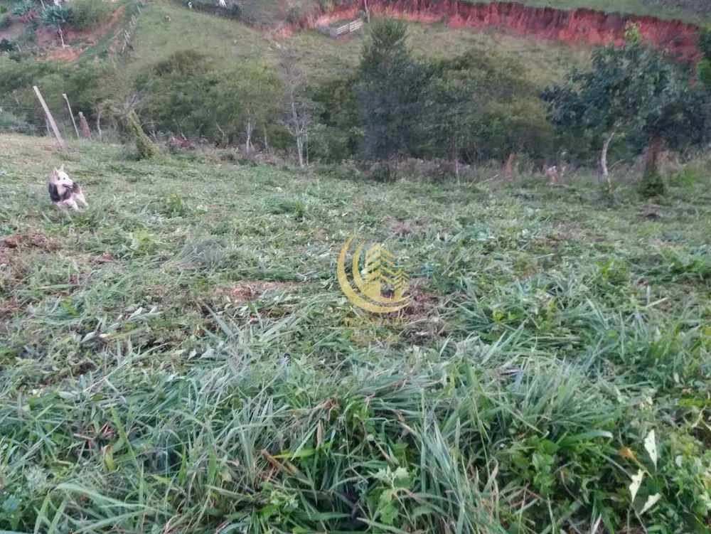 Terreno, 2550 m² - Foto 5