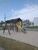 Terreno, 250 m² - Foto 3