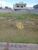 Terreno, 250 m² - Foto 1