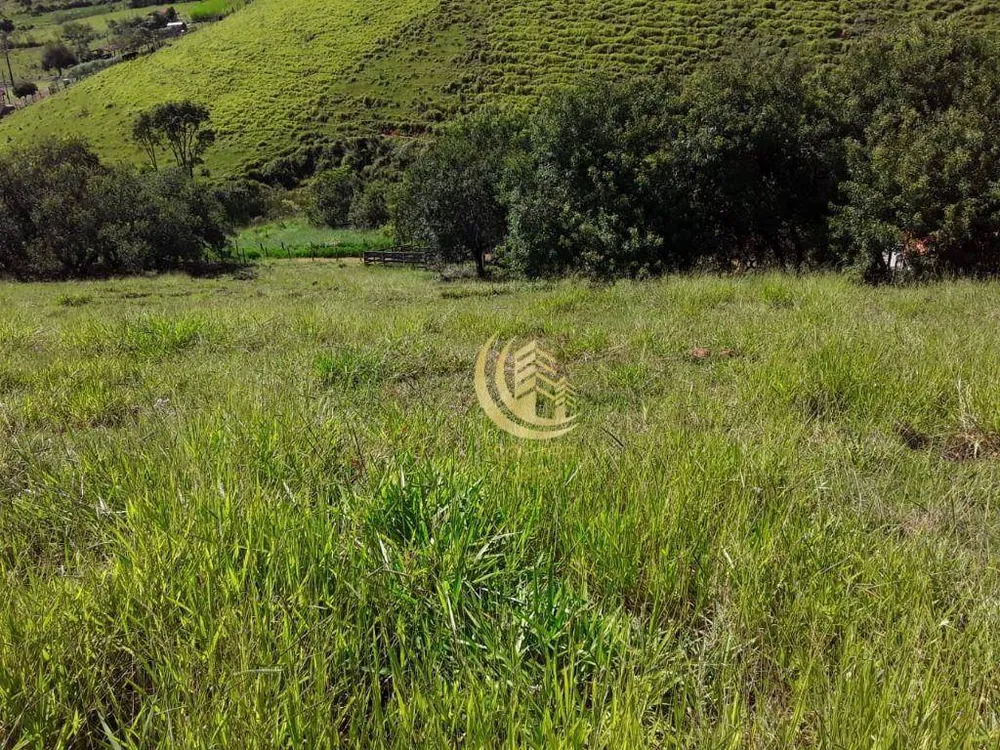 Sítio, 5 hectares - Foto 14