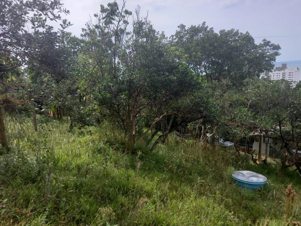 Terreno, 1297 m² - Foto 3