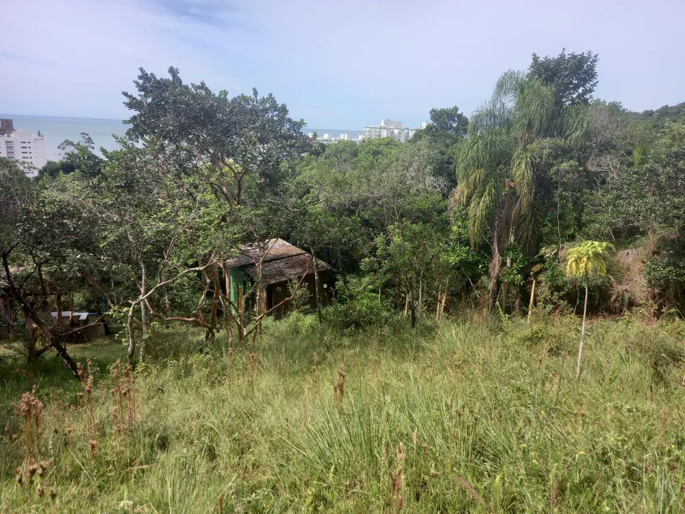 Terreno, 1297 m² - Foto 4