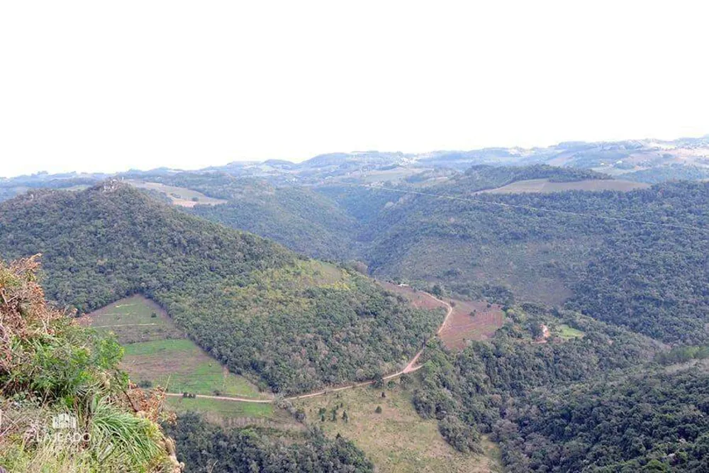 Chácara, 10000 m² - Foto 3