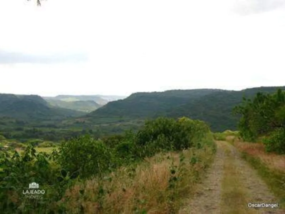 Chácara, 10000 m² - Foto 1