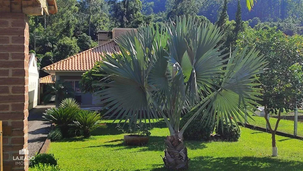 Sítio, 4 quartos, 260 m² - Foto 14