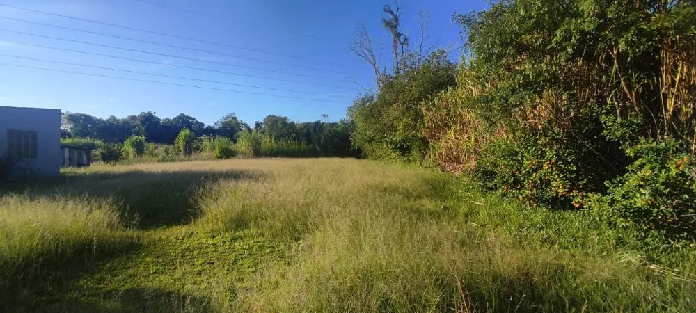 Terreno, 7051 m² - Foto 3