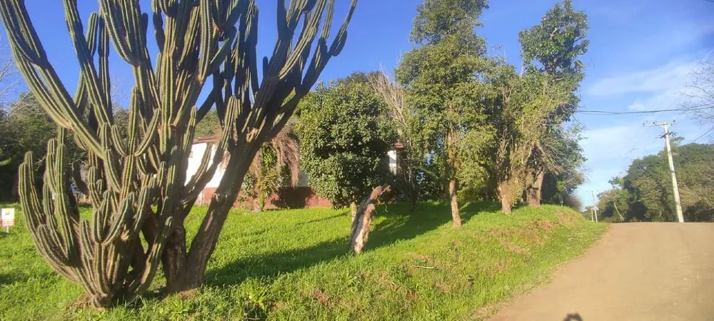 Terreno, 7051 m² - Foto 16