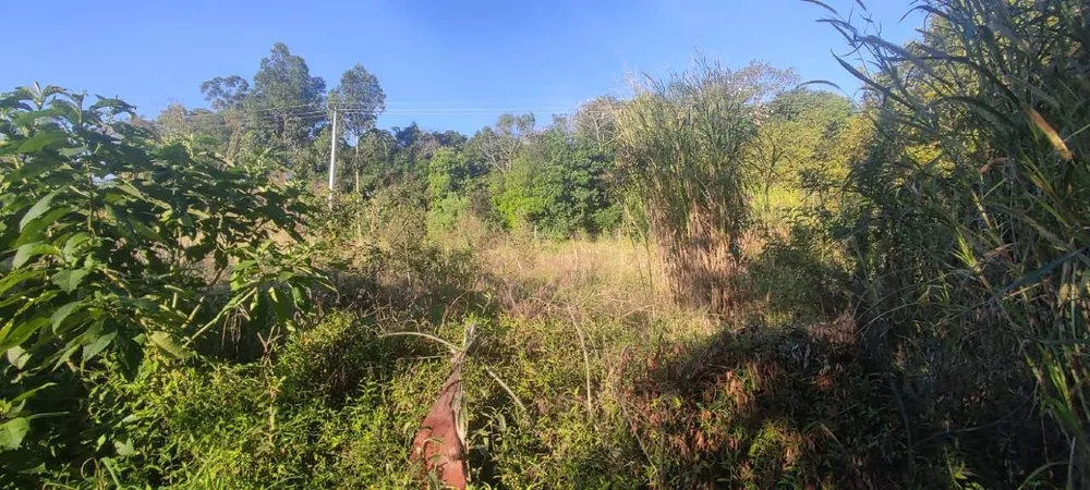 Terreno, 7051 m² - Foto 13